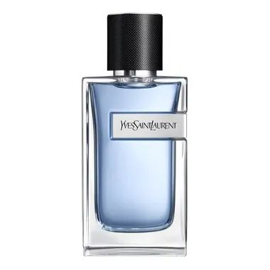 YSL Y EDT 100ml - Men's Eau de Toilette Spray, Long Lasting Fresh Aromatic Woody Fragrance