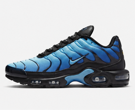 Nike Air Max Plus Men's Shoes – Blue Tuned Air Running Sneakers