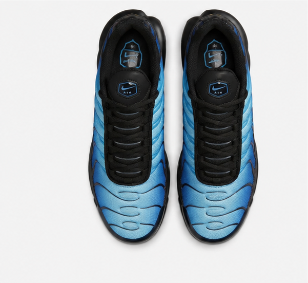 Nike Air Max Plus Men's Shoes – Blue Tuned Air Running Sneakers