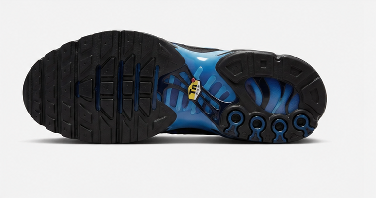 Nike Air Max Plus Men's Shoes – Blue Tuned Air Running Sneakers